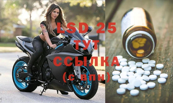 ГАЛЛЮЦИНОГЕННЫЕ ГРИБЫ Алексин