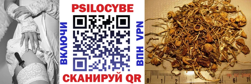 Псилоцибиновые грибы мухоморы  купить   Жердевка 